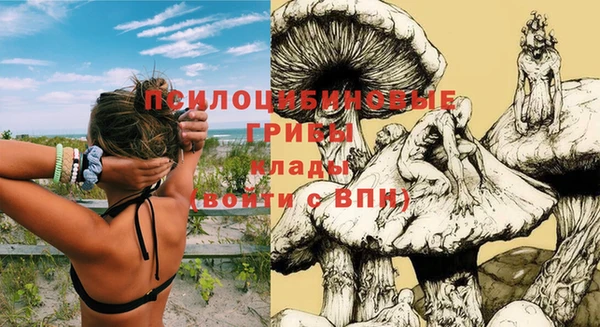 кокс Абаза
